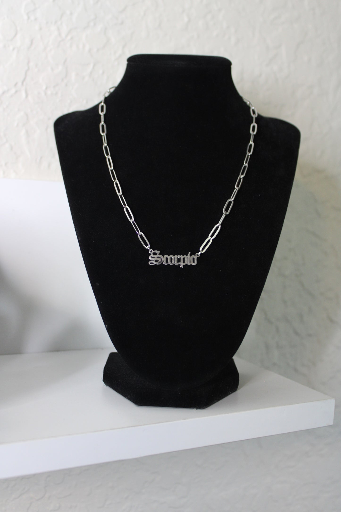 Silver Zodiac Paperclip Necklace