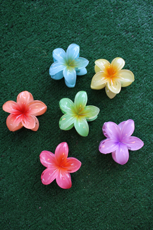 Tropical Floral Hair Clip