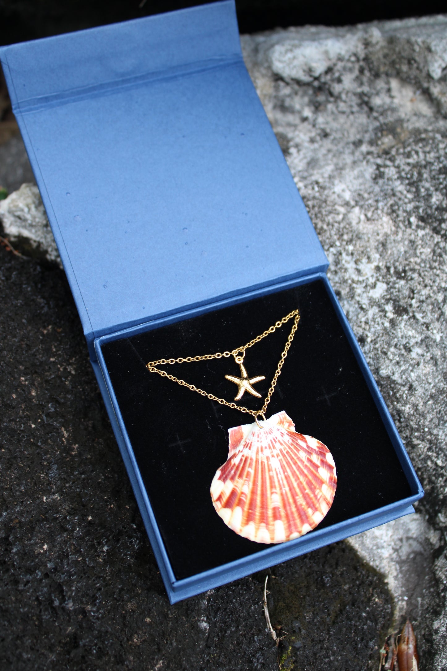 Mini Lorelei Starfish Layered Necklace Set