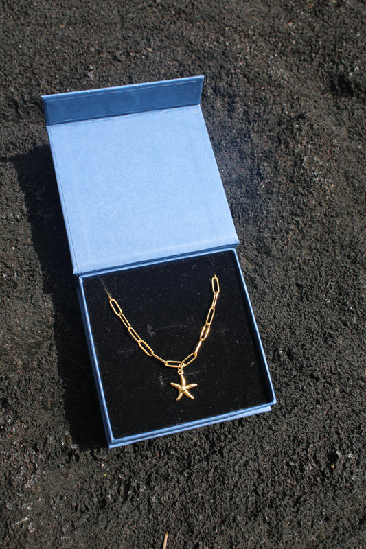 Starfish Paperclip Necklace